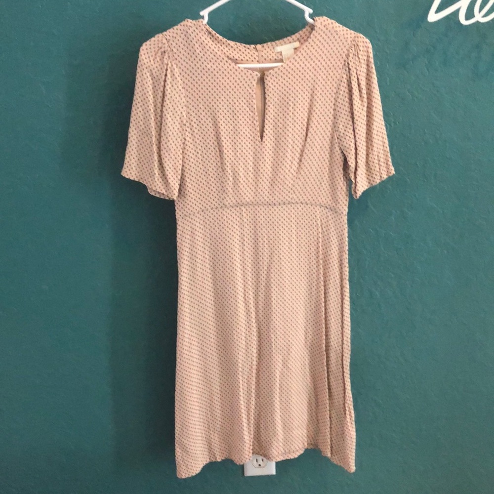 H & M Dress